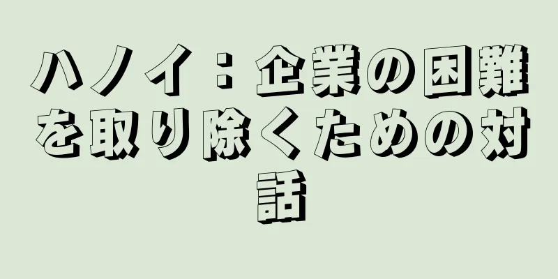 ハノイ：企業の困難を取り除くための対話