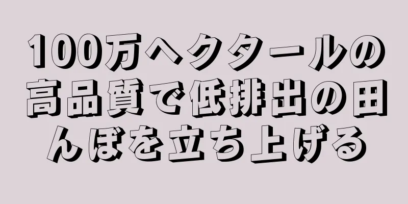 100万ヘクタールの高品質で低排出の田んぼを立ち上げる