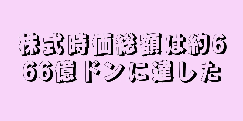 株式時価総額は約666億ドンに達した