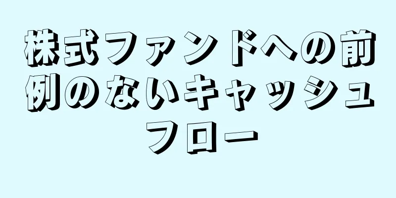 株式ファンドへの前例のないキャッシュフロー