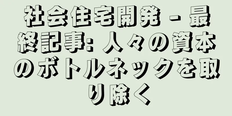 社会住宅開発 - 最終記事: 人々の資本のボトルネックを取り除く