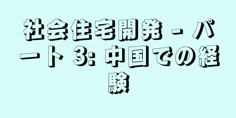 社会住宅開発 - パート 3: 中国での経験