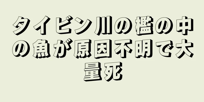 タイビン川の檻の中の魚が原因不明で大量死