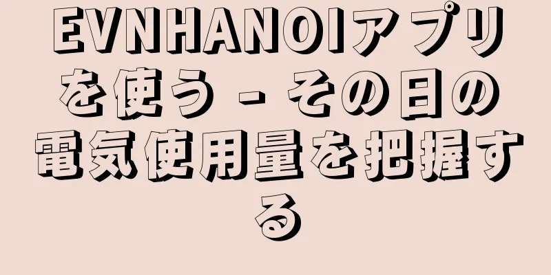 EVNHANOIアプリを使う - その日の電気使用量を把握する