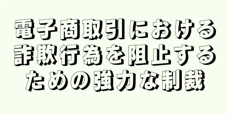 電子商取引における詐欺行為を阻止するための強力な制裁