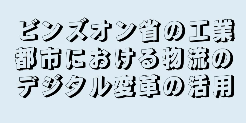 ビンズオン省の工業都市における物流のデジタル変革の活用