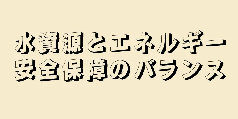 水資源とエネルギー安全保障のバランス