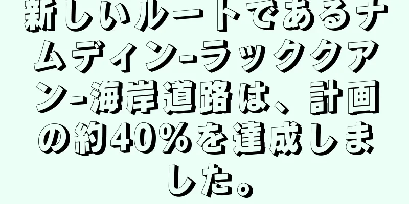 新しいルートであるナムディン-ラッククアン-海岸道路は、計画の約40％を達成しました。