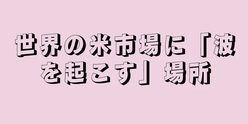 世界の米市場に「波を起こす」場所