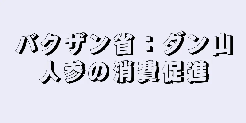 バクザン省：ダン山人参の消費促進