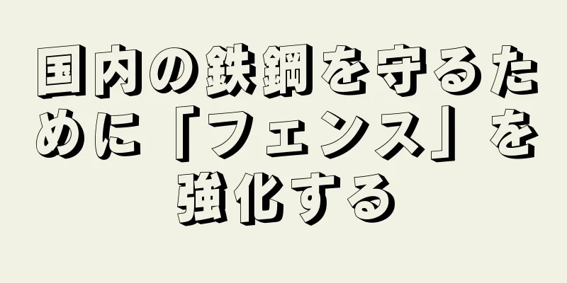 国内の鉄鋼を守るために「フェンス」を強化する