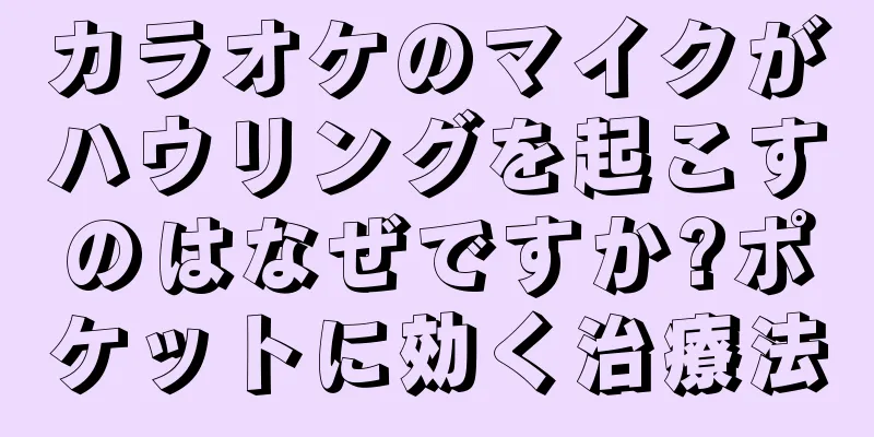 カラオケのマイクがハウリングを起こすのはなぜですか?ポケットに効く治療法
