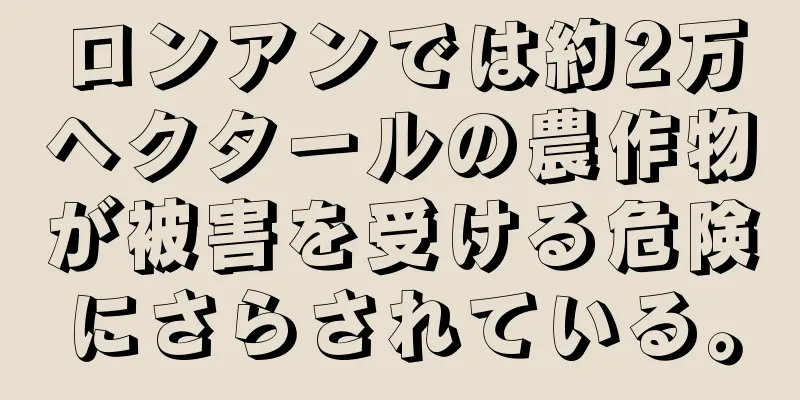 ロンアンでは約2万ヘクタールの農作物が被害を受ける危険にさらされている。