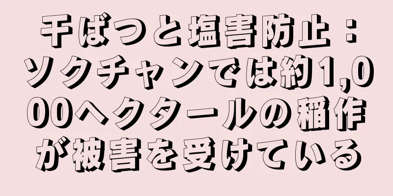 干ばつと塩害防止：ソクチャンでは約1,000ヘクタールの稲作が被害を受けている