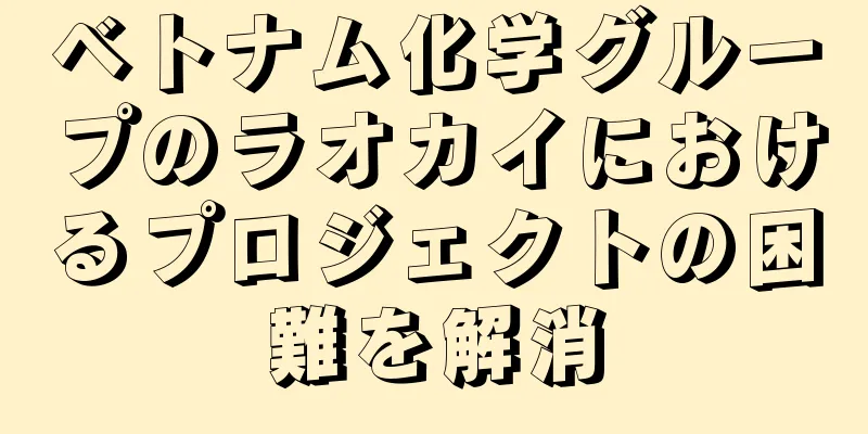 ベトナム化学グループのラオカイにおけるプロジェクトの困難を解消