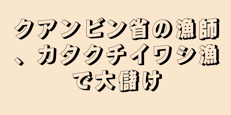 クアンビン省の漁師、カタクチイワシ漁で大儲け