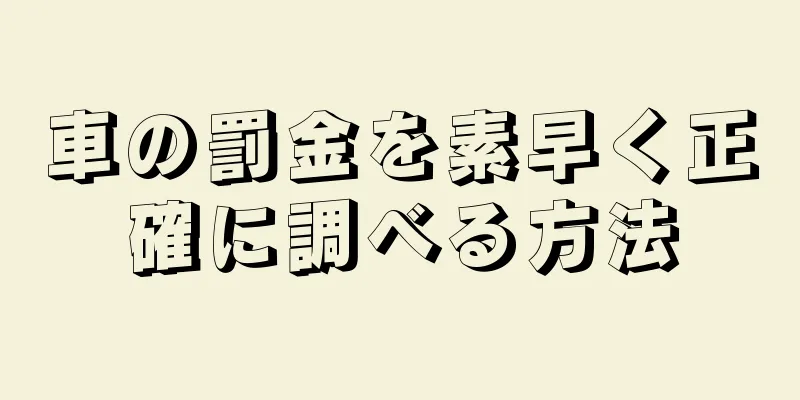 車の罰金を素早く正確に調べる方法