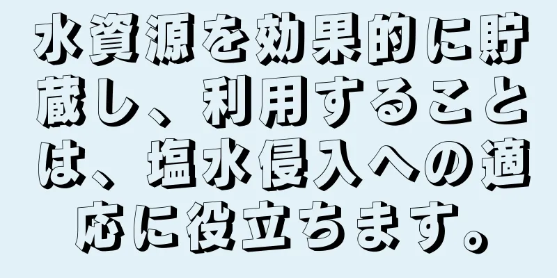 水資源を効果的に貯蔵し、利用することは、塩水侵入への適応に役立ちます。