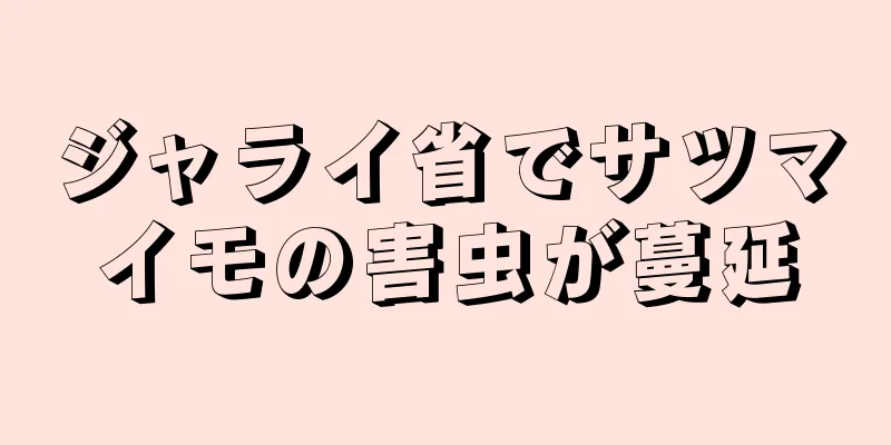 ジャライ省でサツマイモの害虫が蔓延