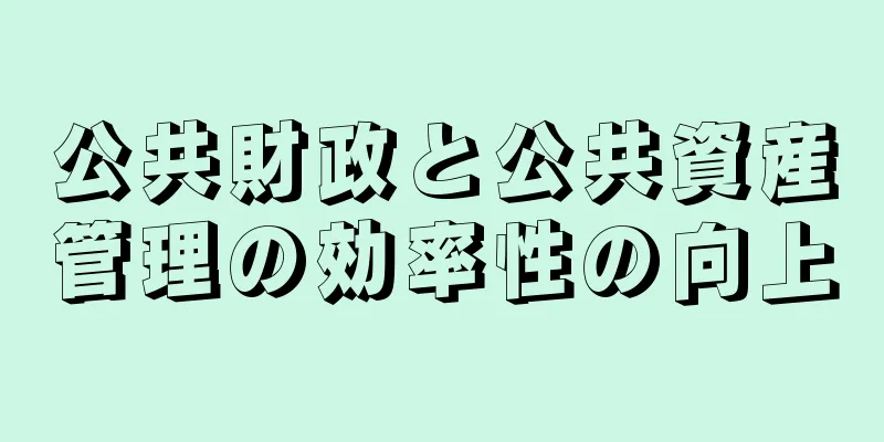 公共財政と公共資産管理の効率性の向上