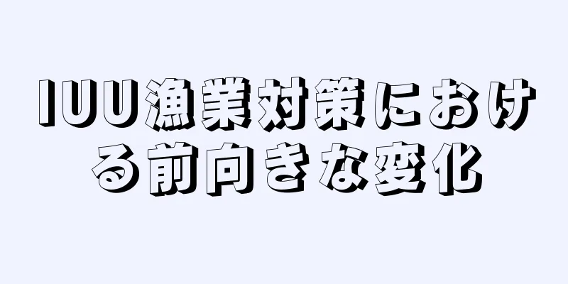 IUU漁業対策における前向きな変化