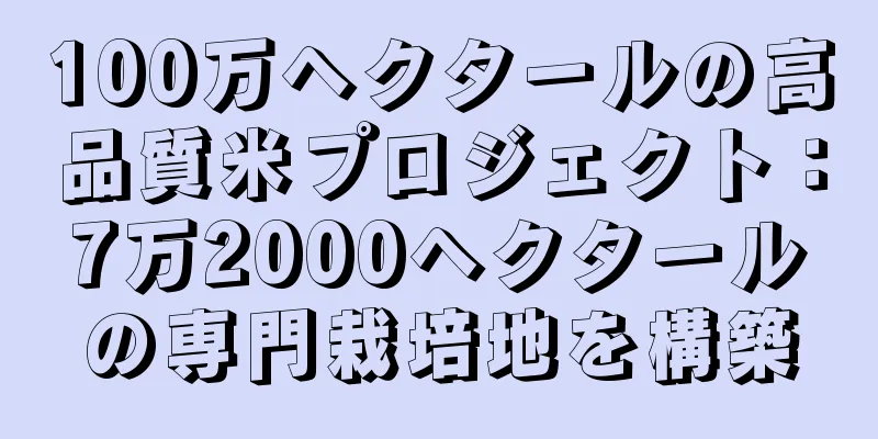 100万ヘクタールの高品質米プロジェクト：7万2000ヘクタールの専門栽培地を構築