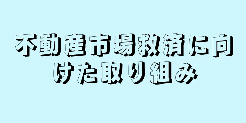 不動産市場救済に向けた取り組み