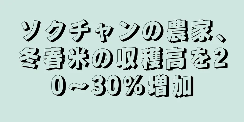ソクチャンの農家、冬春米の収穫高を20～30％増加