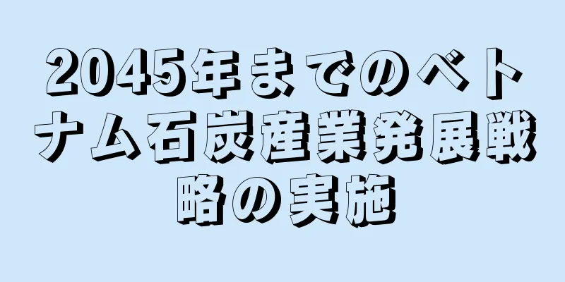 2045年までのベトナム石炭産業発展戦略の実施