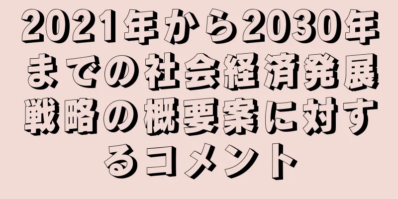 2021年から2030年までの社会経済発展戦略の概要案に対するコメント