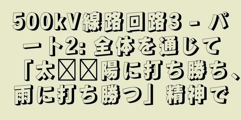 500kV線路回路3 - パート2: 全体を通じて「太​​陽に打ち勝ち、雨に打ち勝つ」精神で
