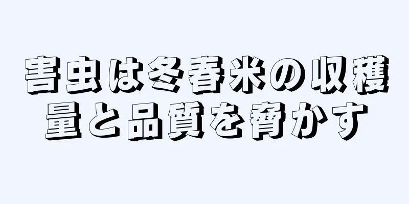 害虫は冬春米の収穫量と品質を脅かす