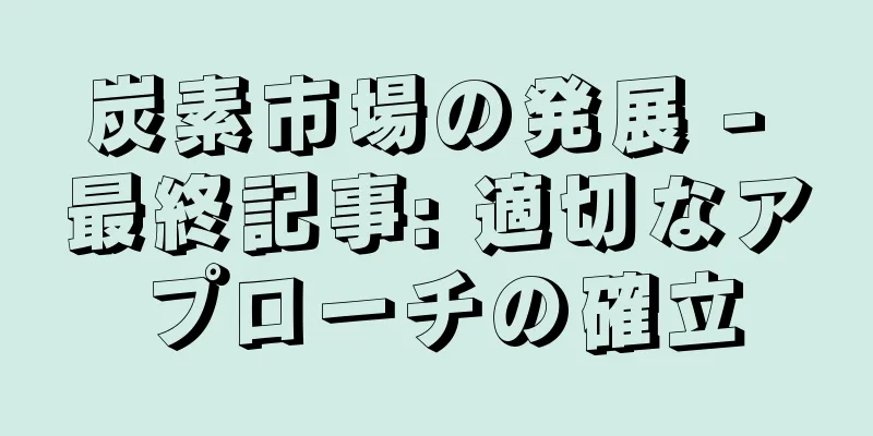 炭素市場の発展 - 最終記事: 適切なアプローチの確立