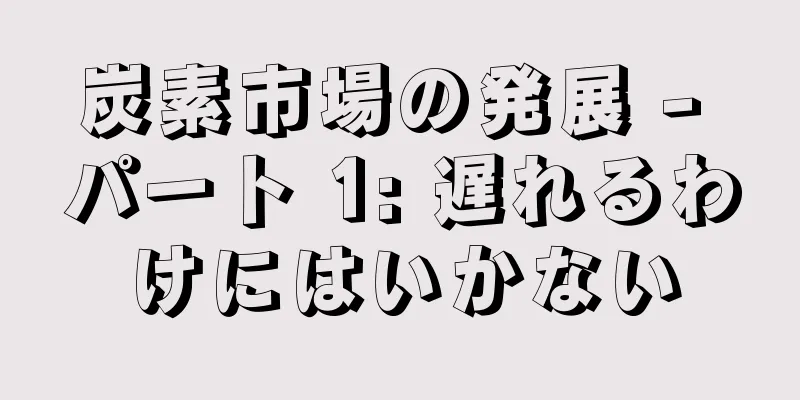 炭素市場の発展 - パート 1: 遅れるわけにはいかない