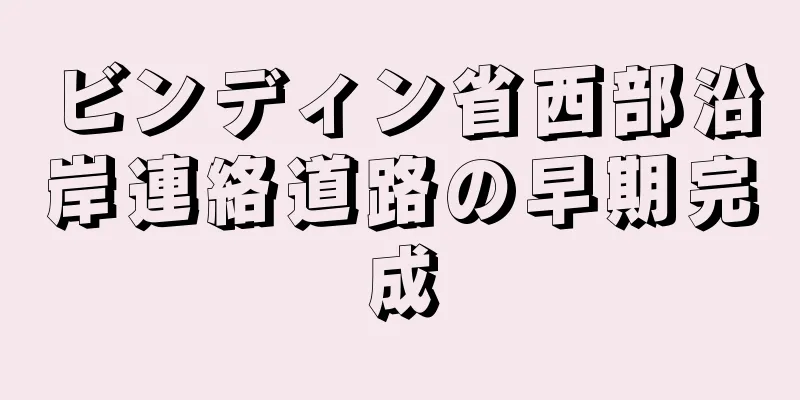 ビンディン省西部沿岸連絡道路の早期完成