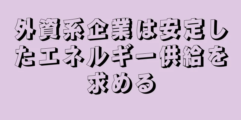 外資系企業は安定したエネルギー供給を求める