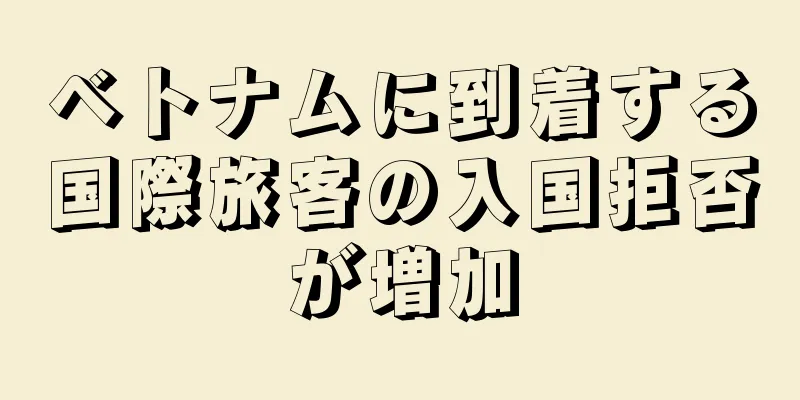 ベトナムに到着する国際旅客の入国拒否が増加