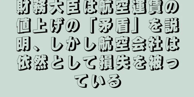 財務大臣は航空運賃の値上げの「矛盾」を説明、しかし航空会社は依然として損失を被っている