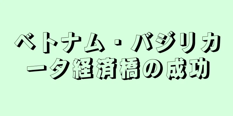 ベトナム・バジリカータ経済橋の成功