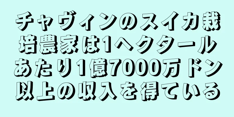 チャヴィンのスイカ栽培農家は1ヘクタールあたり1億7000万ドン以上の収入を得ている