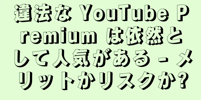 違法な YouTube Premium は依然として人気がある - メリットかリスクか?