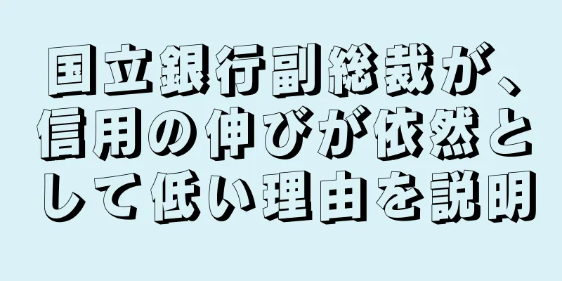 国立銀行副総裁が、信用の伸びが依然として低い理由を説明