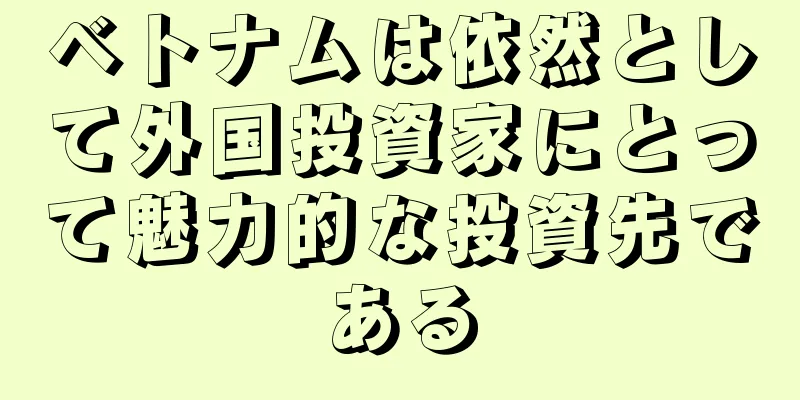 ベトナムは依然として外国投資家にとって魅力的な投資先である