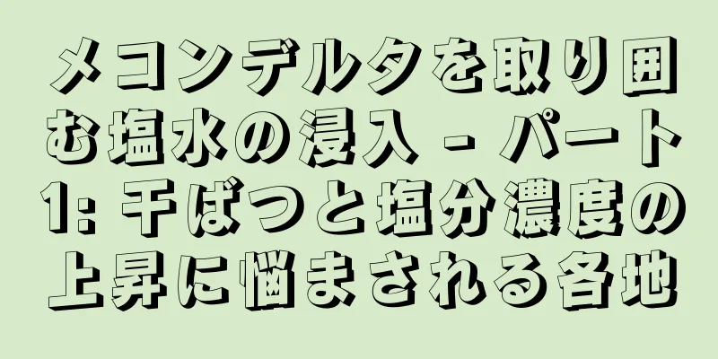 メコンデルタを取り囲む塩水の浸入 - パート1: 干ばつと塩分濃度の上昇に悩まされる各地
