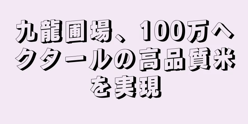 九龍圃場、100万ヘクタールの高品質米を実現