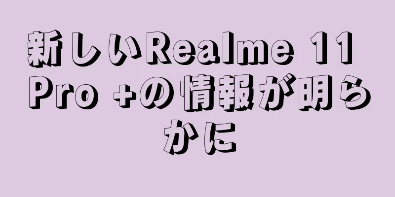 新しいRealme 11 Pro +の情報が明らかに