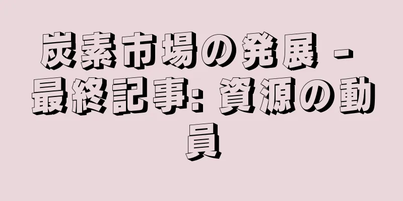 炭素市場の発展 - 最終記事: 資源の動員