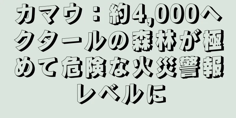 カマウ：約4,000ヘクタールの森林が極めて危険な火災警報レベルに