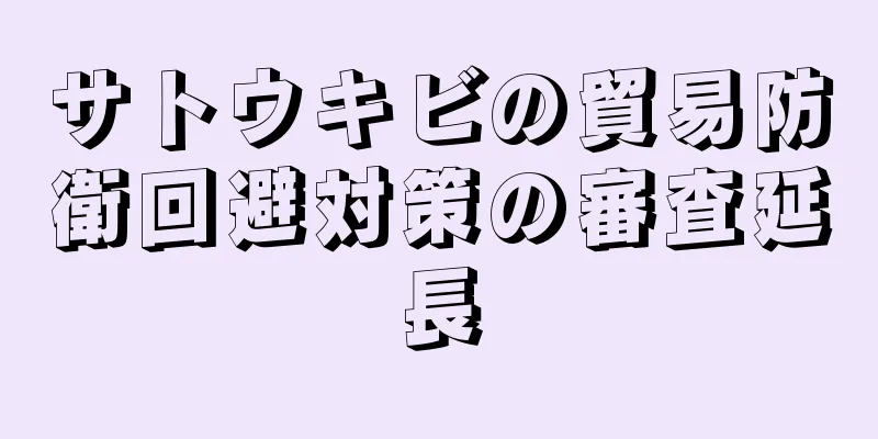サトウキビの貿易防衛回避対策の審査延長