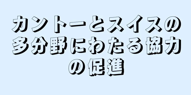 カントーとスイスの多分野にわたる協力の促進